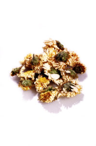 chamomile flowers image